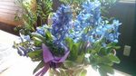 春の花束.jpg